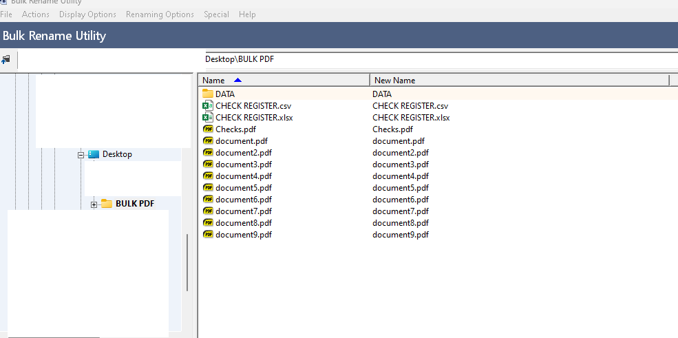 Bulk Rename Utility interface