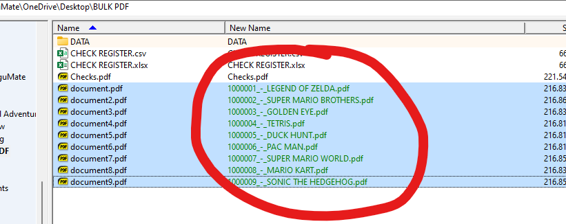 Bulk Rename Utility with files selected and new names shown