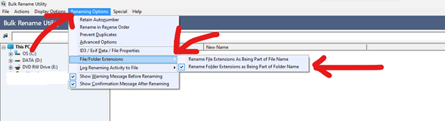 Bulk Rename Utility options dialog